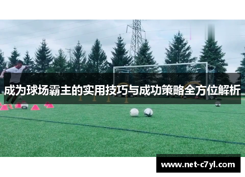成为球场霸主的实用技巧与成功策略全方位解析